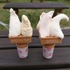 Gelateria Rimo 網走本店