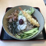 Hakone Soba - 天付き冷し梅おろしそば