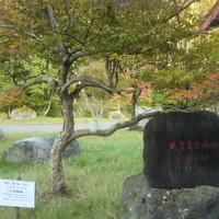 中禅寺金谷ホテル - 天皇皇后両陛下ご宿泊記念