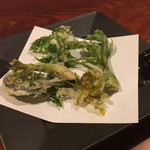 飛騨季節料理 肴 - ふきのとう、こしあぶら、こごみ、たらの芽、あずき菜