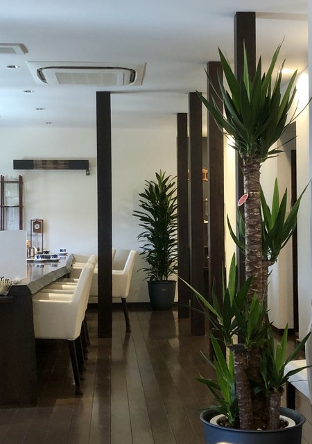 Coffee Ya Sugimoto photo 4