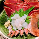 出島亜紗 - うちわ海老のお刺身