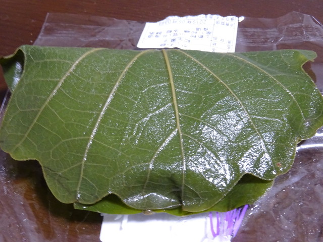 菓子処 勝田屋 - 二本松（和菓子）の写真