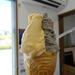 ウィンディーランド - 