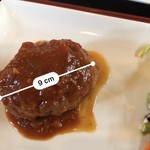 処勝手処 カイノア - 上からハンバーグ