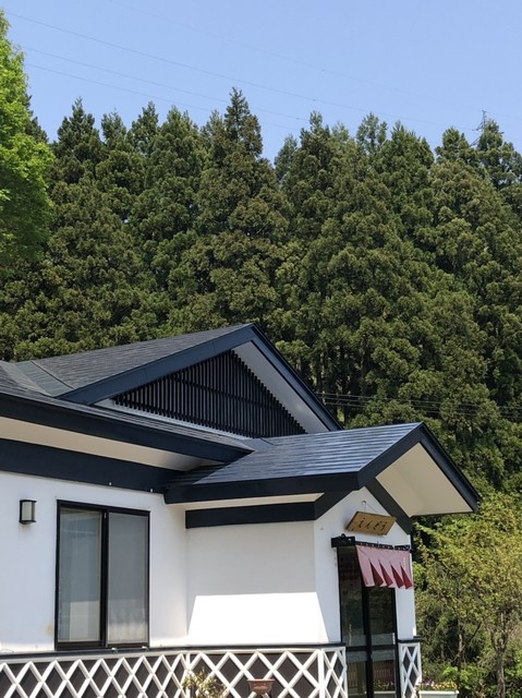 食事処 えんどう - 大崎市その他（そば）の写真