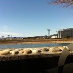 文化屋 - 店内からの景色！長良川が見えます。