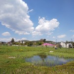 和のギャラリーなかむら - おまけ‐公園内より奥の個人の芝桜が有名（旧競馬場が公園になりました）