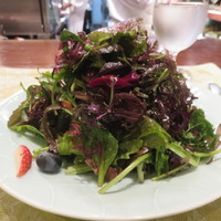 ジャッジョーロ銀座 - 