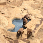 高尾山スミカ - 