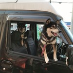 ピッザピッザピッザ - 