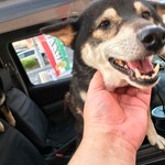 ピッザピッザピッザ - 