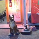 ピッザピッザピッザ - 