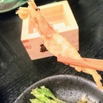 旬魚旬菜まるとび - 