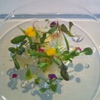 NARISAWA - ワイルドハーブのサラダ  お野菜はGG FARM