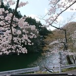 蔵仕込味噌らぁめん 味噌の巽や - 