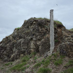 中華そば処 琴平荘 - 