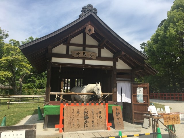 上賀茂神社の 神山湧水 でいれた コーヒー 神山湧水珈琲 煎 せん By まろんママ 神山湧水珈琲 煎 北山 カフェ 食べログ