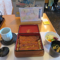 鰻割烹 伊豆栄 本店 - 