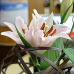 家庭料理 小川 - 