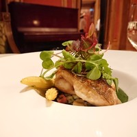 スプレンディード - 魚の種類を失念…