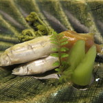 徳山鮓 - 鮒＋山菜柚子味噌