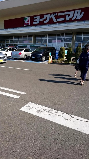 ヨークベニマル 南中山店 - 北山（コンビニ・スーパー）の写真