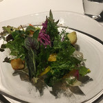 レフェルヴェソンス - 