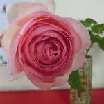 中華そば 紅蘭 - 