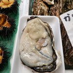 平塚商店 - 見本