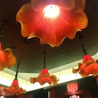 CANNA - 
