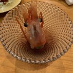 小判寿司 - 【ボタンエビの頭】◎2019/4