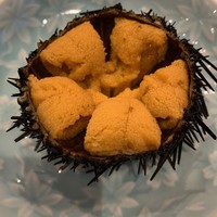 小判寿司 棚倉 - 【ウニ】◎2019/4