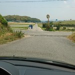 クロキ - ここを左折