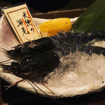 OYSTER BAR 酒肆石花 - 