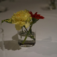 OTTO SETTE - 