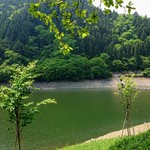 Shimakatsu - 奥多摩湖の新緑も綺麗でした。