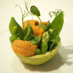 レヴォル - アミューズ   グリンピース 雲丹