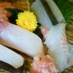 山葵 - 201112　山葵　昼定食（950円）刺身盛合