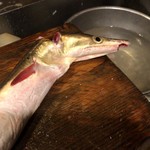 うを徳 - 顎と歯は危険なので削ぎ落とされてる…