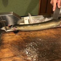 うを徳 - イテテテテッ！ꐦ