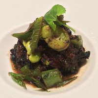 カンテサンス - はと