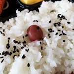 銀Shari工房 さ蔵 - からあげ弁当