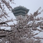 107 - 五稜郭タワーと桜