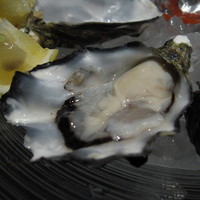 KAZAN - おいしい牡蠣