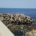 地魚料理 恵比須 - 海っ！