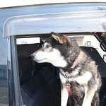 ピッザピッザピッザ - 