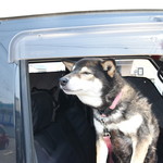 ピッザピッザピッザ - 