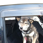 ピッザピッザピッザ - 