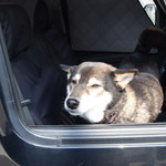 ピッザピッザピッザ - 